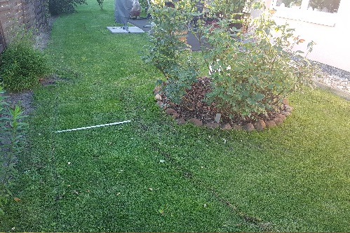 Professionelle Garteninstallation vom Experten