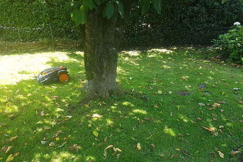 Professionelle Garteninstallation vom Experten