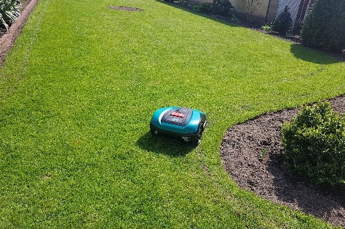 Professionelle Garteninstallation vom Experten